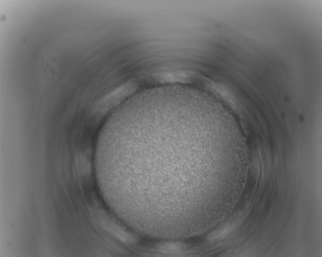 X0000062930402200601202032