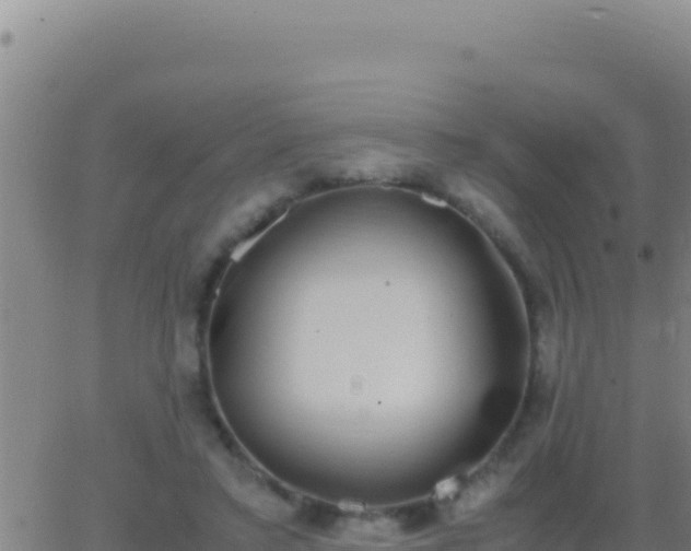 X0000062930403200601202032