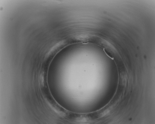 X0000062930404200601202032