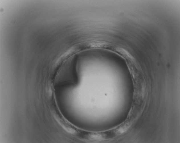 X0000062930405200601202032