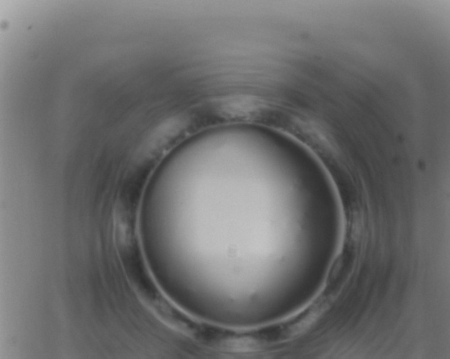 X0000062930408200601202032