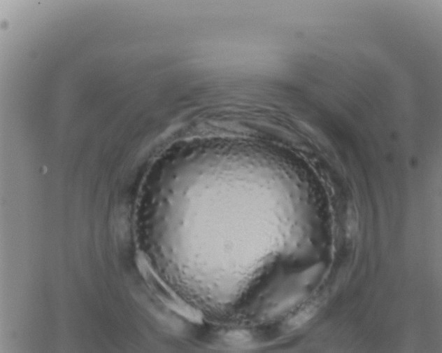 X0000062930409200601202032