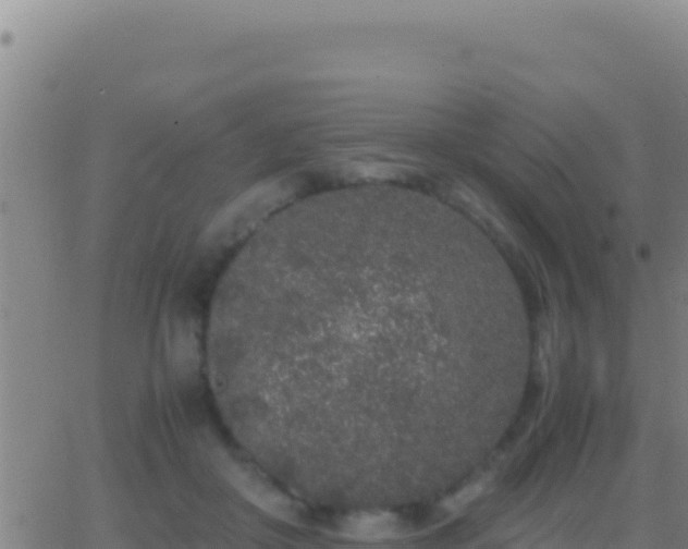 X0000062930410200601202032