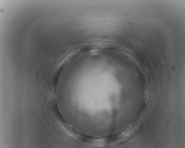 X0000062930411200601202032