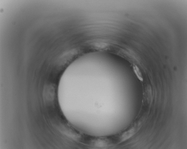 X0000062930412200601202032