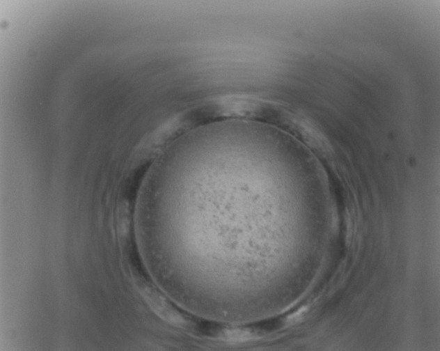 X0000062930413200601202032