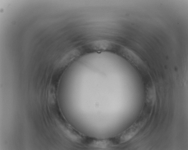 X0000062930414200601202032