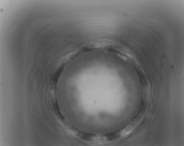 X0000062930415200601202032