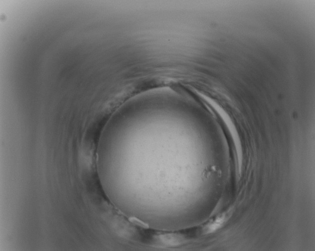 X0000062930417200601202032