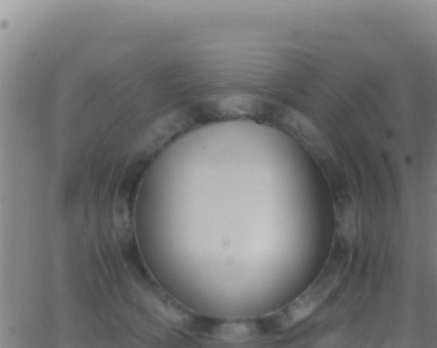 X0000062930418200601202032