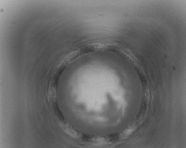 X0000062930419200601202032