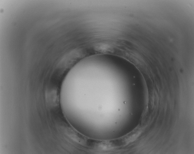 X0000062930420200601202032