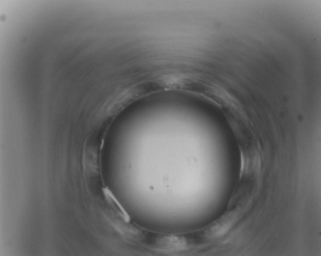 X0000062930421200601202031