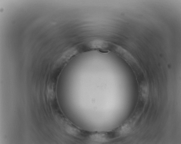 X0000062930422200601202031