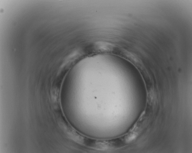 X0000062930423200601202031