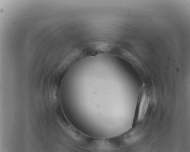 X0000062930424200601202031