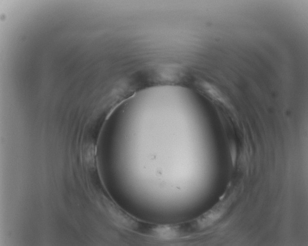 X0000062930425200601202031