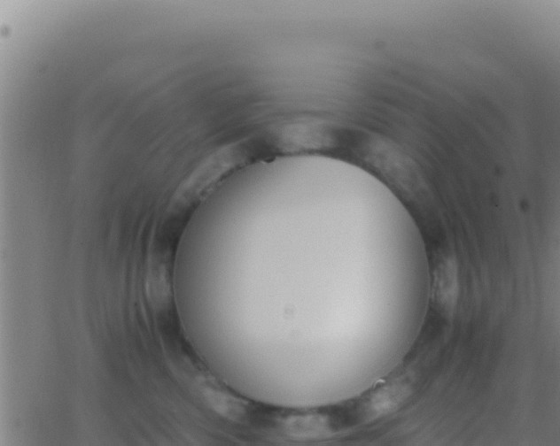 X0000062930426200601202031