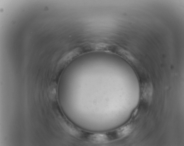 X0000062930427200601202031