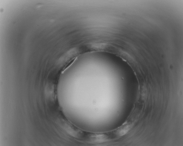 X0000062930428200601202031