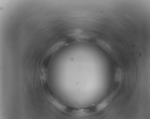 X0000062930430200601202031