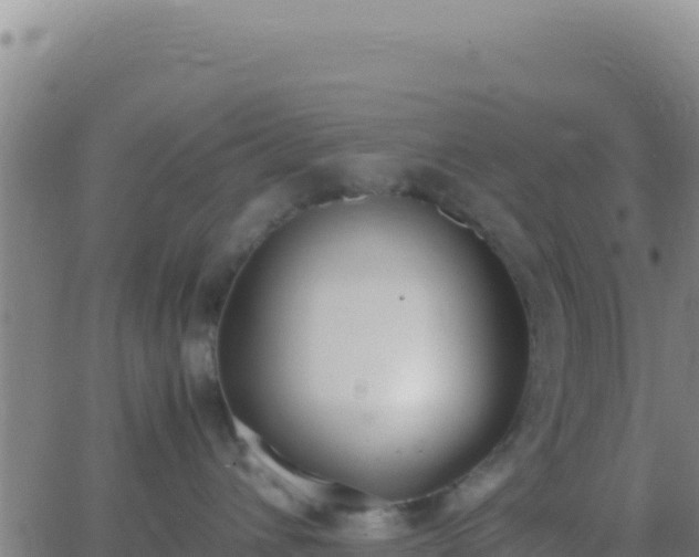 X0000062930432200601202031