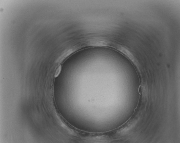 X0000062930433200601202031