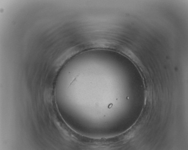 X0000062930434200601202031