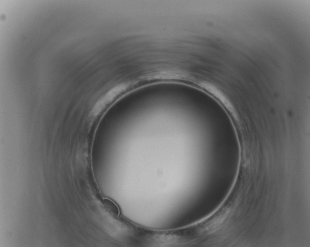 X0000062930437200601202031