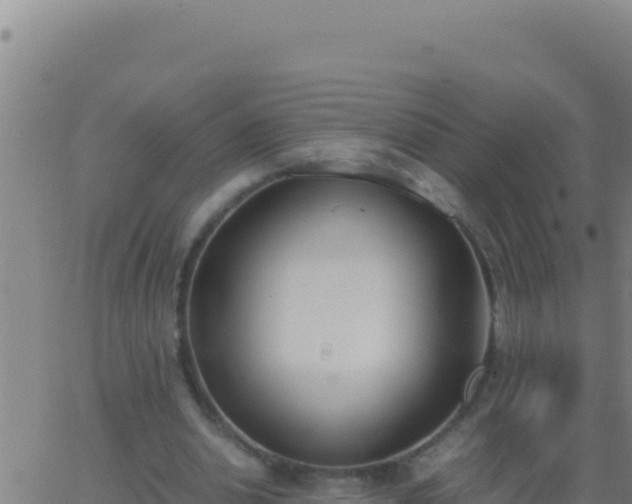 X0000062930438200601202031