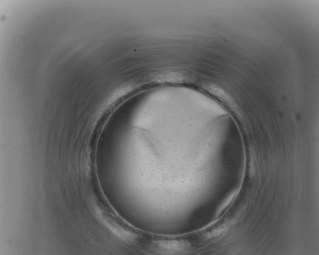 X0000062930439200601202031