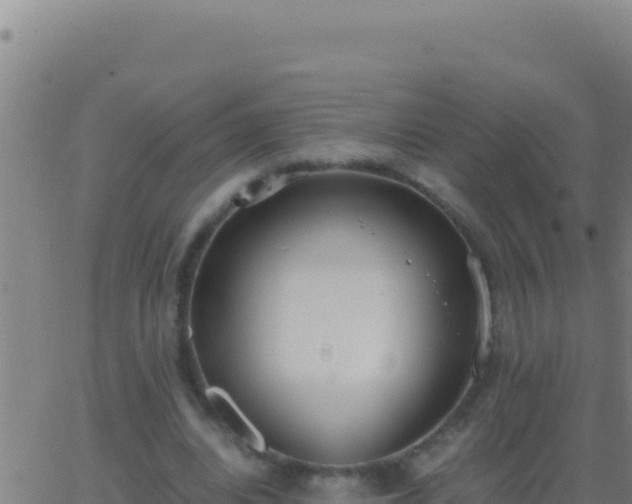 X0000062930440200601202031