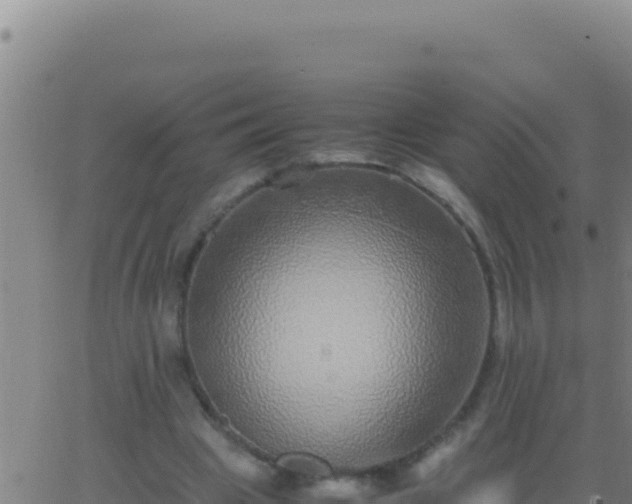 X0000062930441200601202031