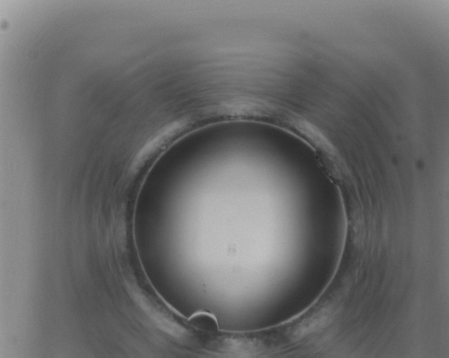 X0000062930442200601202031