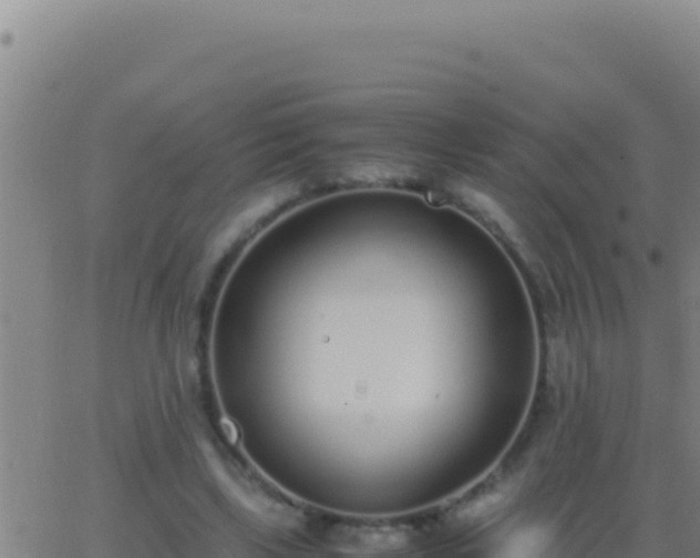 X0000062930443200601202031