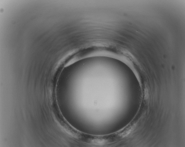 X0000062930444200601202031