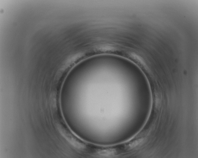 X0000062930447200601202031