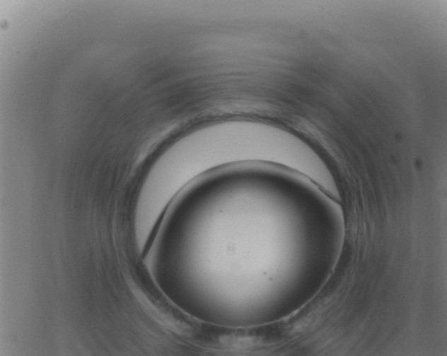 X0000062930448200601202031