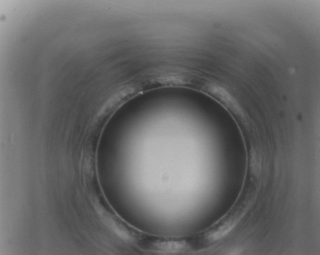 X0000062930449200601202031