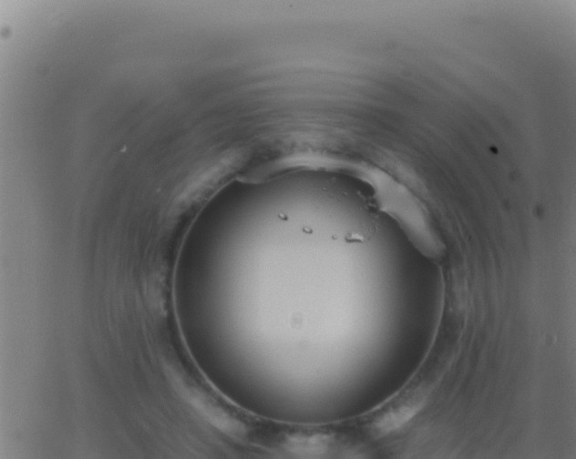 X0000062930450200601202031