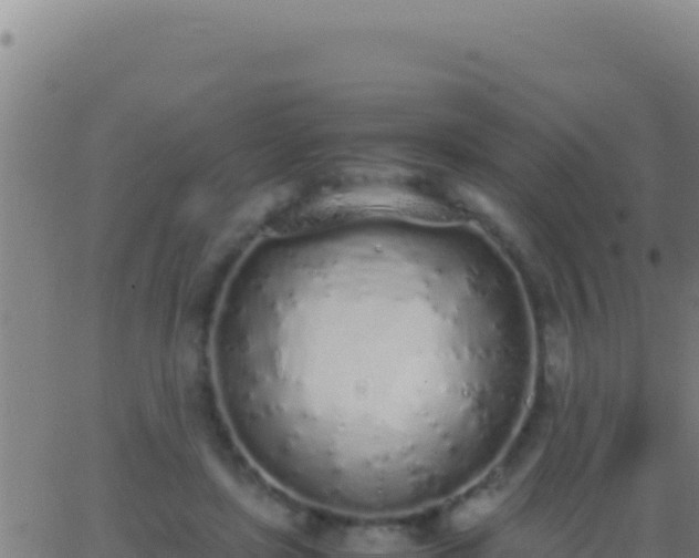 X0000062930451200601202031