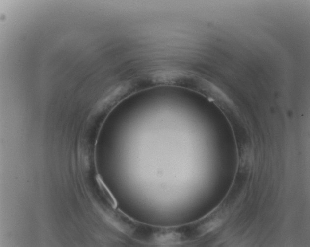 X0000062930452200601202031