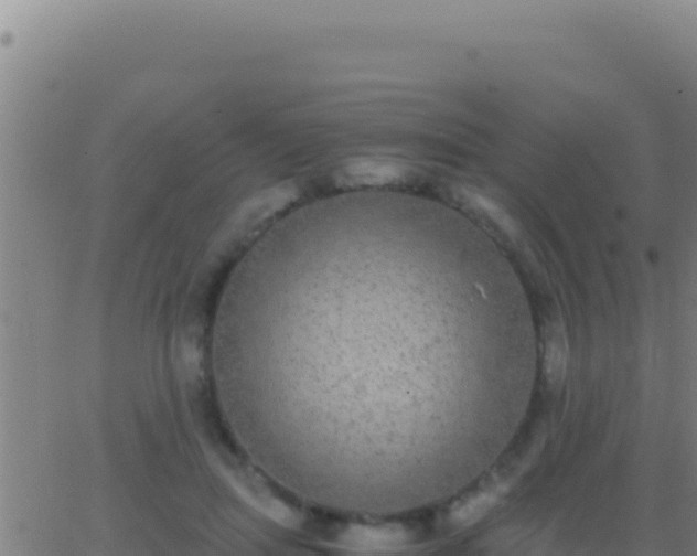 X0000062930455200601202031