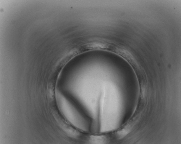 X0000062930457200601202031