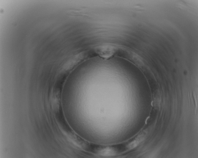 X0000062930460200601202031