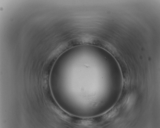 X0000062930462200601202031