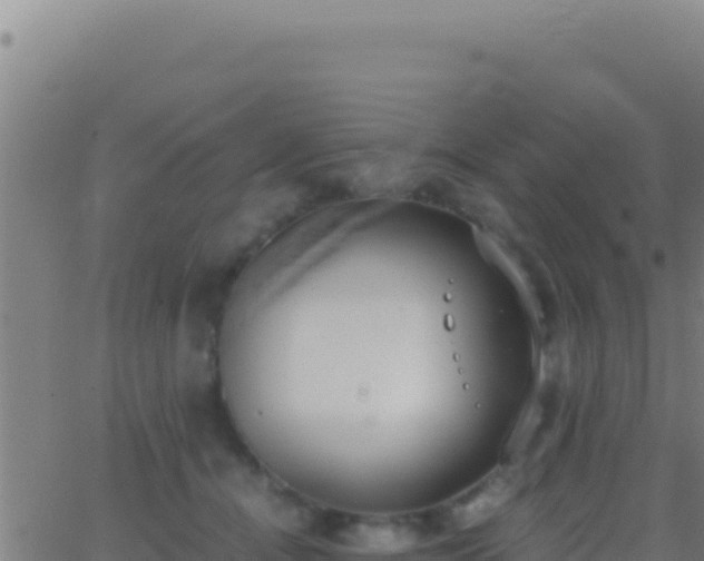 X0000062930464200601202031