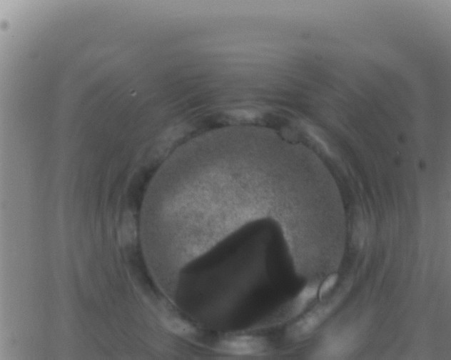 X0000062930467200601202031