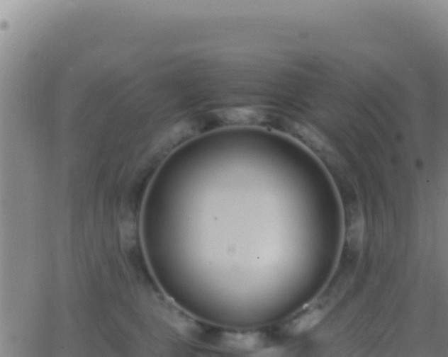 X0000062930469200601202031