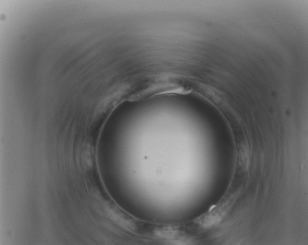 X0000062930470200601202031